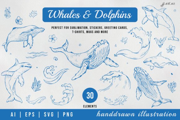 Whales Dolphins Line Art Clipart Guide